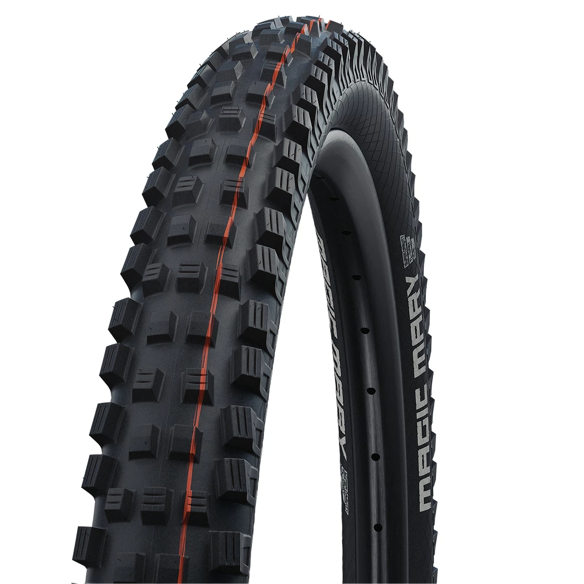 Schwalbe Magic Mary Evolution Super Gravity ADDIX Soft TLE MTB Folding Tyre