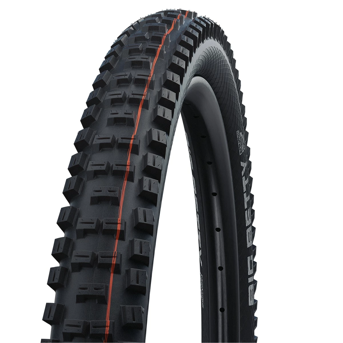 Schwalbe Big Betty Evolution Super Gravity ADDIX Soft TLE MTB Folding Tyre